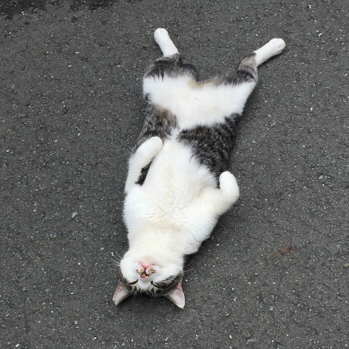 Af0f1651 7a5d 42d5 ad9c a002b985a6ea