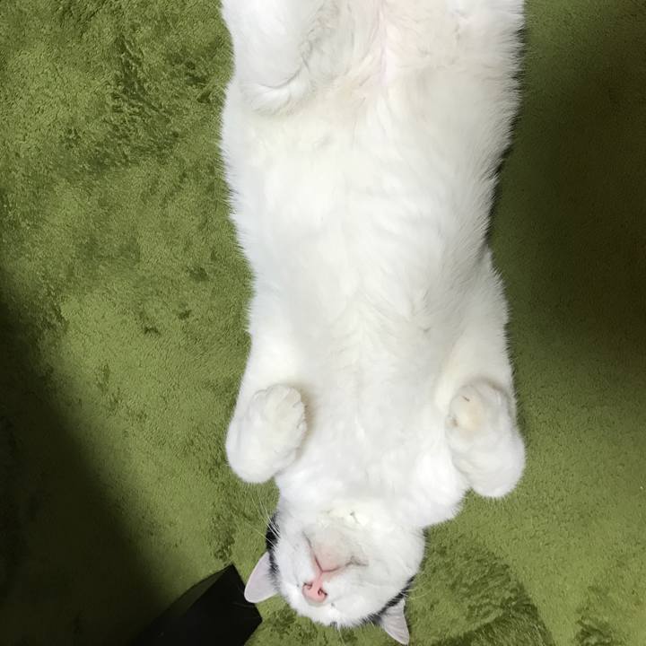 Af0f1777 e8c5 4ec2 8747 d7271ed606de