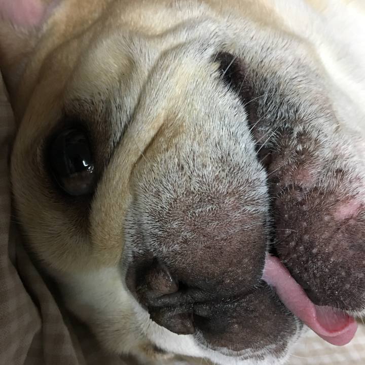 Af0fb8eb 2f42 47ab 9465 5a955ed5f069