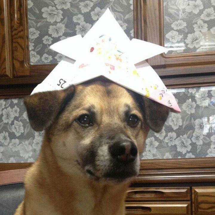 Af100fb4 4a81 4971 adda 9ce3757921f9