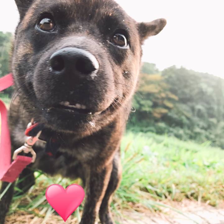 Af102cee ae36 42d3 89e2 8bd71fff6790