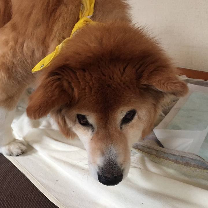 Af109743 dd14 4329 ba20 97db7fd6b7e9