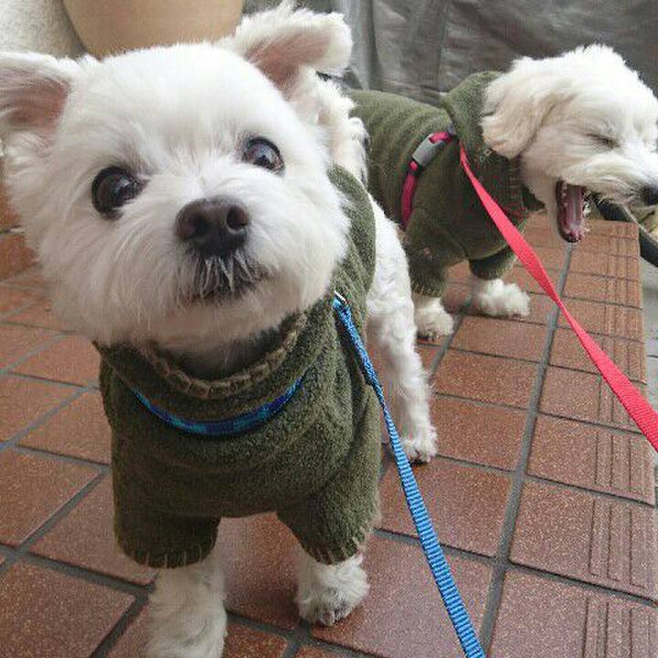 Af10dd8d ff53 465c 9d05 6993f40c85b4