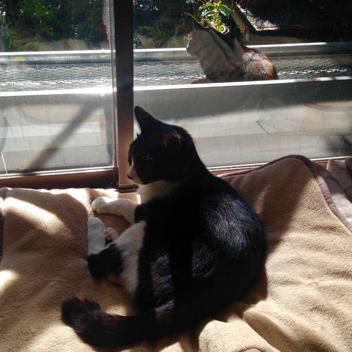 Af11e088 46fd 43e5 b7ea 72cae9c6801b