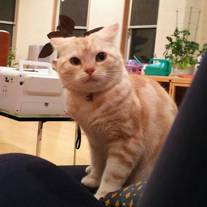 Af120b1a cbe2 43b4 b31c e0f683889d20