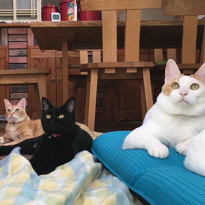 Af13492e a695 425b 8362 1203e388c371