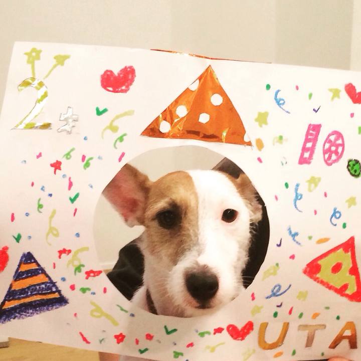 Af137490 c4d0 42d6 bf34 82d60a47fb44