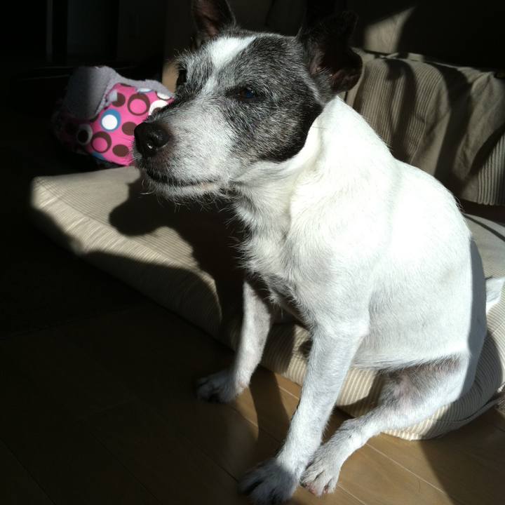 Af13a229 2669 4a0e 8d1e ed0351a76454