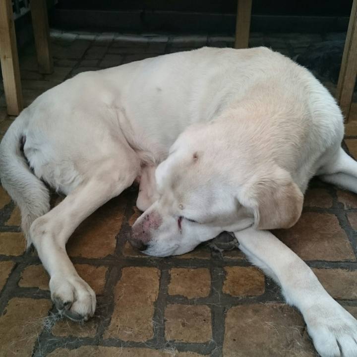 Af13a927 7361 42fa 9751 e26bc5822555