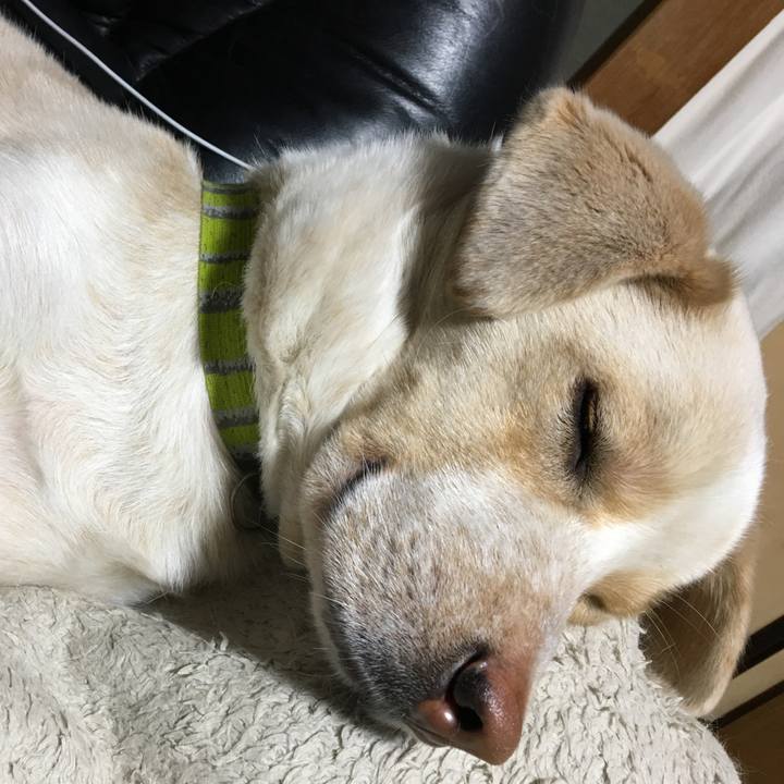 Af13fa2f 9cdd 4057 bc22 97b78e1bc017