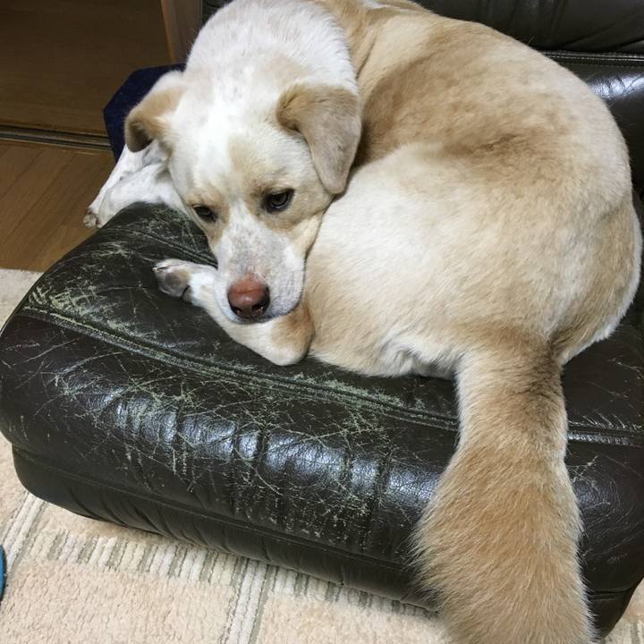 Af152600 c5da 4b8f b886 ca07a92a273a