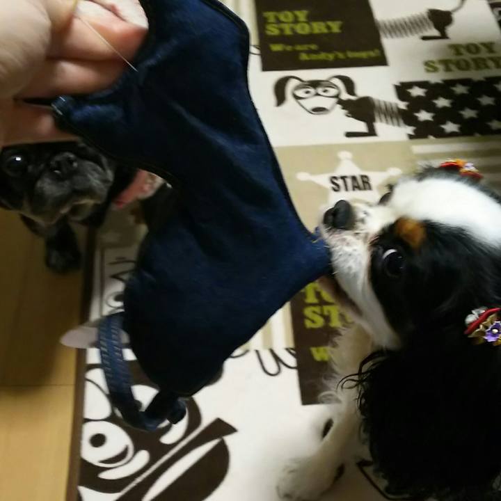 Af152b37 4e82 4b57 b08b bd232b808896