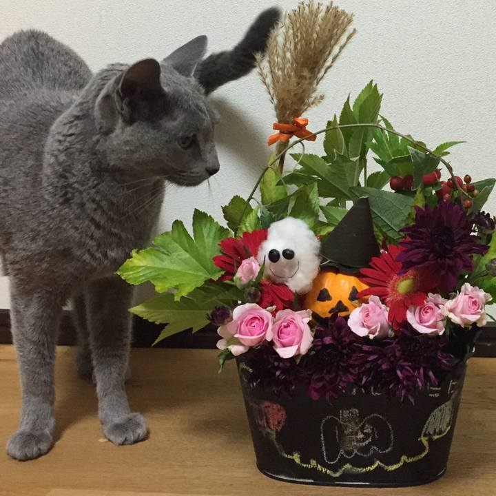 Af15497b bcad 4999 8e95 fc1a167a0211