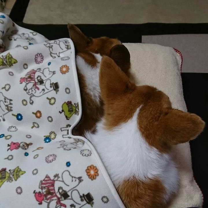 Af159ff2 3d13 45e8 806c 200410da408c