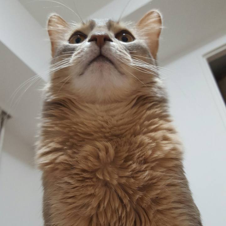 Af15a54b a37c 4f48 aa7e 90b9ff6190a6