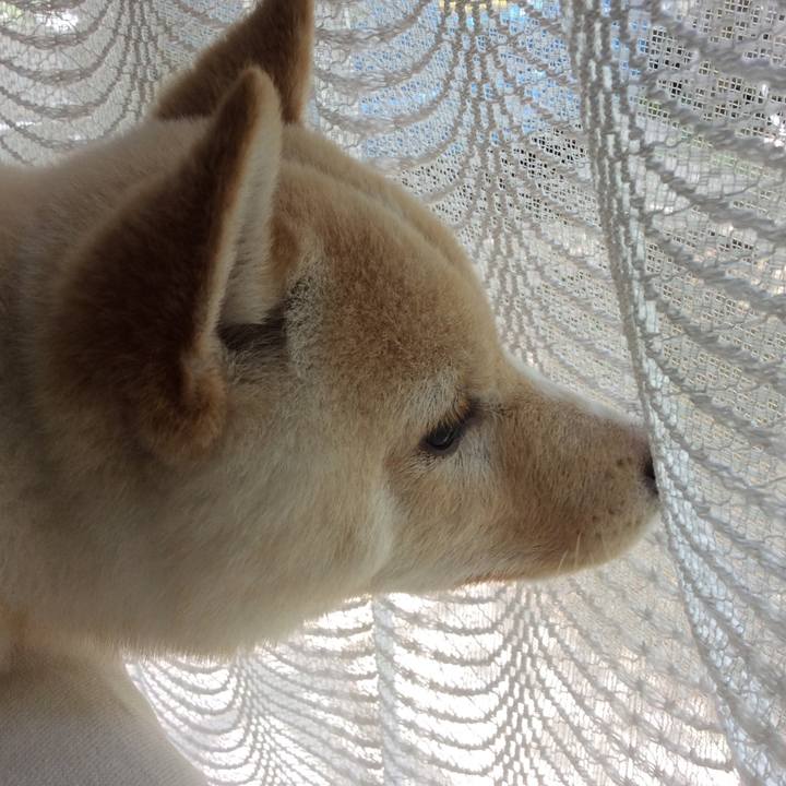 Af15d78c 9fd9 4c0e af5b 0a01f6da57e6