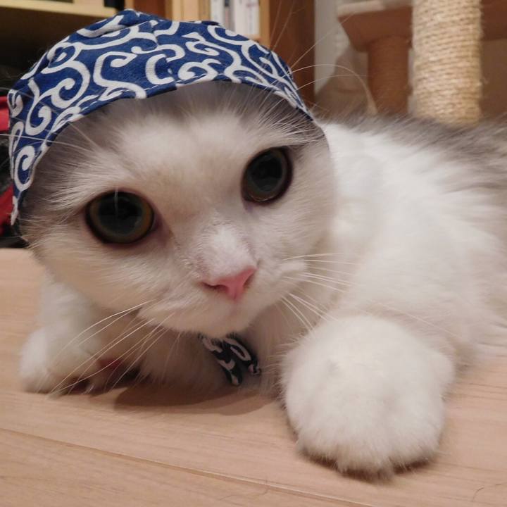 Af17a82f f416 4485 b079 61eeb7427e0b