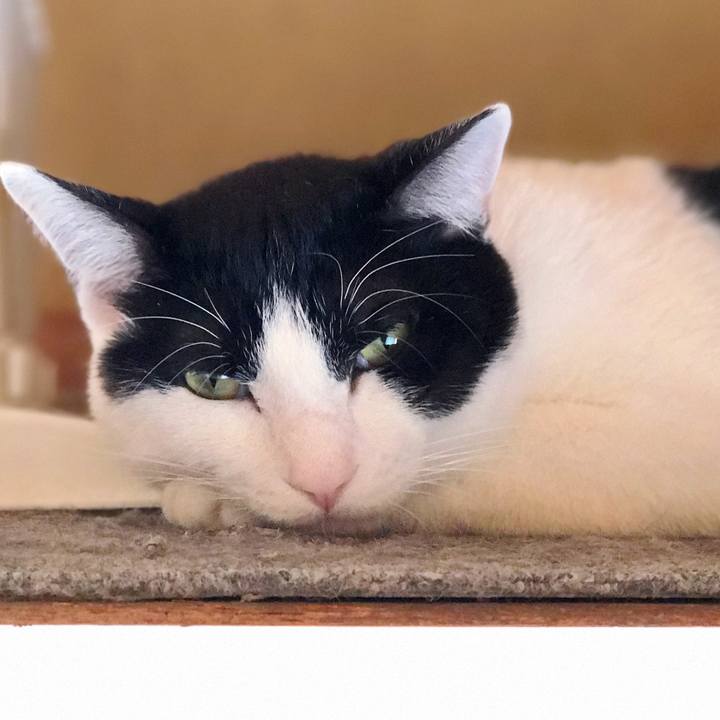 Af1807a9 d4d5 4d16 b95d 53c2af63c51a