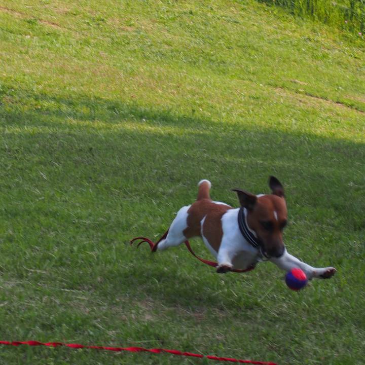 Af184797 e80c 4ea7 8734 36ebdbf5892a