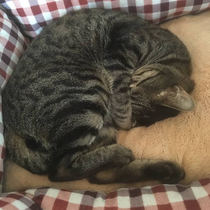 Af185c44 8c42 4481 aa7e 04e866aef9b0