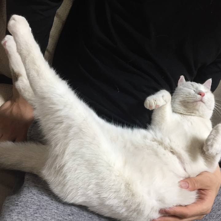 Af18e6df 4720 4a70 915d 1c7c0c6cfe98