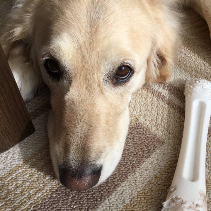 Af193b4b 1c2f 48c5 8d67 900a2e2f9ee7