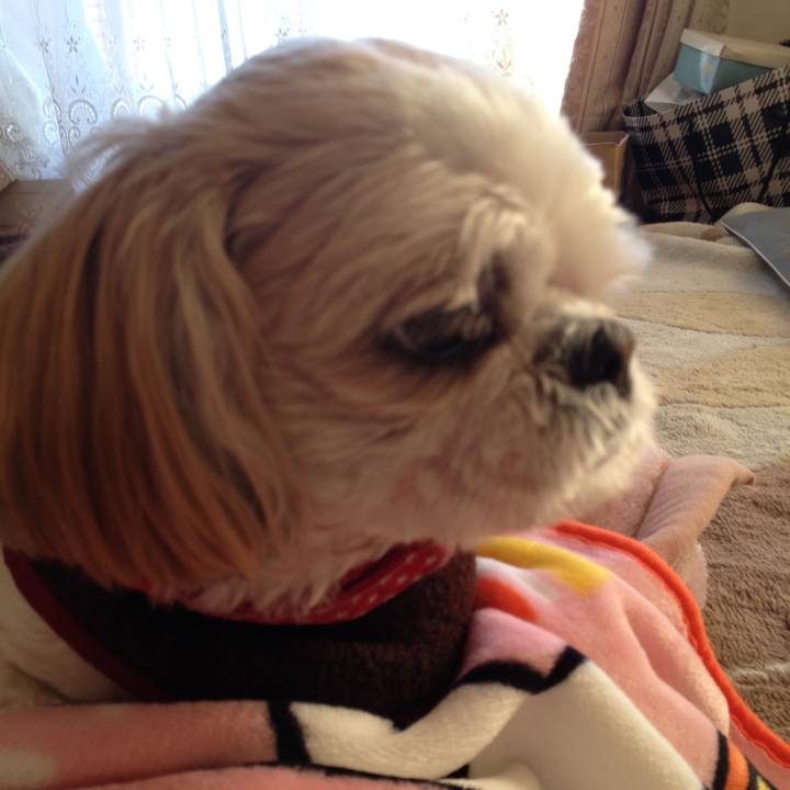 Af1997c4 ea87 4600 834f 1dd6f9e4d79c