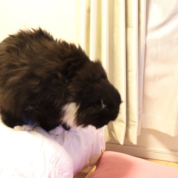 Af19fe04 65a5 4d68 a6ee 4618b7b67730