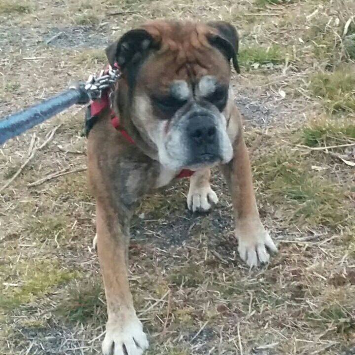 Af1a85de e69e 4cd6 b9d7 5ca9b4ae2872