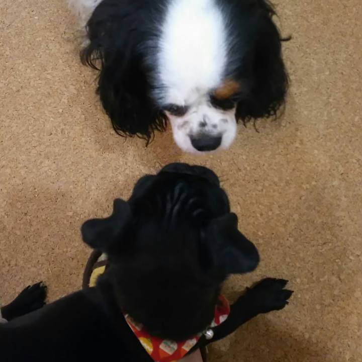 Af1a8e6a 1fda 4bf3 9f61 68ac506f9c25