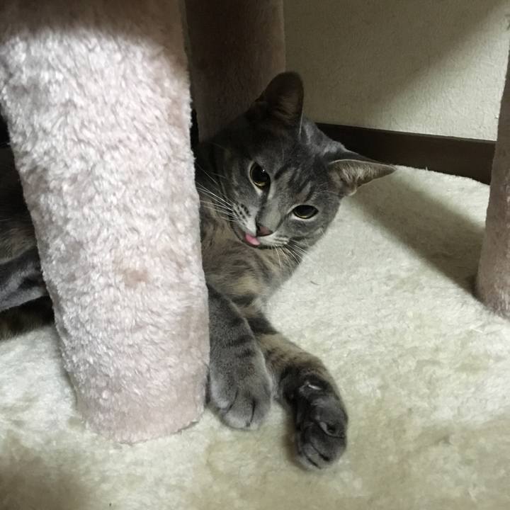 Af1ab961 fb0a 4e06 9758 b667c3dfb39c