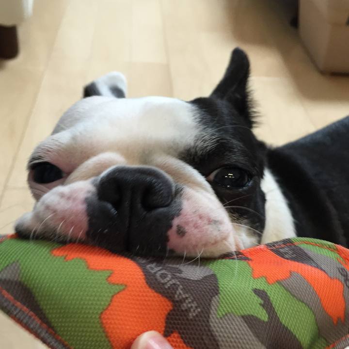 Af1b8b0f 776f 43df 8494 9943404392ae