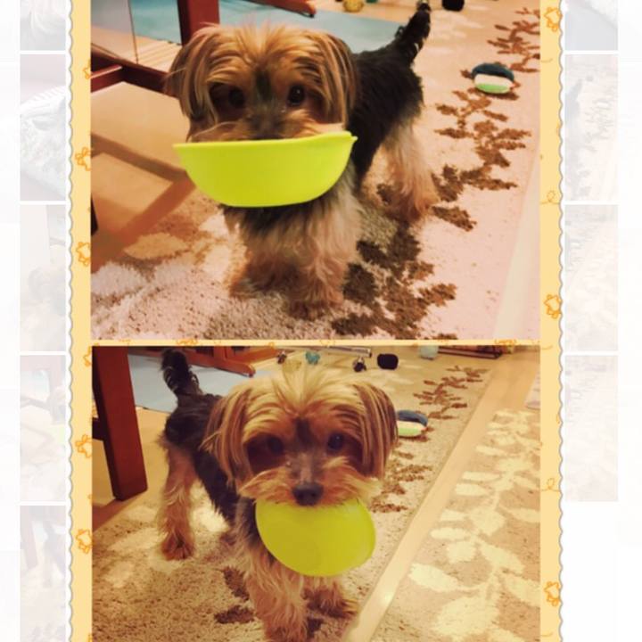 Af1b9444 e1a7 4b01 98e3 fdcd4218e528