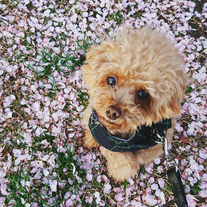 Af1bcbea 6a20 44cc b6c9 46554584d1de