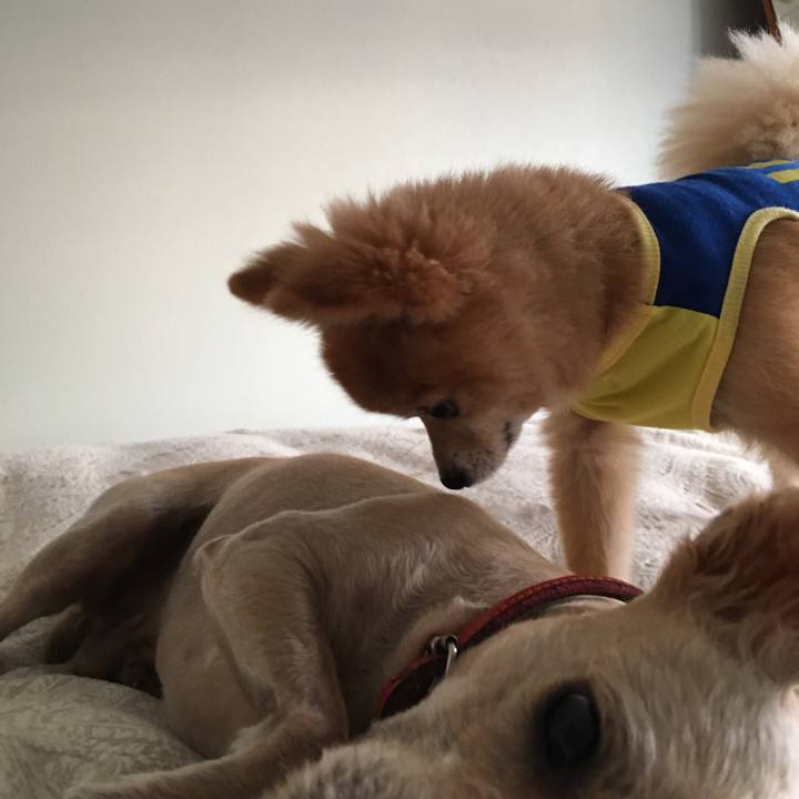 Af1c7cdf 11a4 44ce ad3b 8229ceb8106a