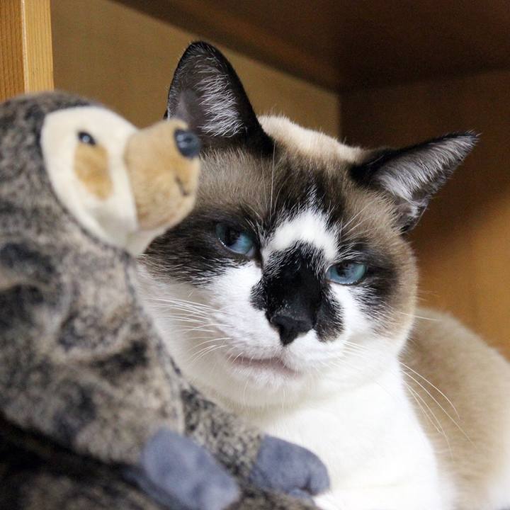 Af1dcd83 f092 43f6 877e dc85b9daa0a6