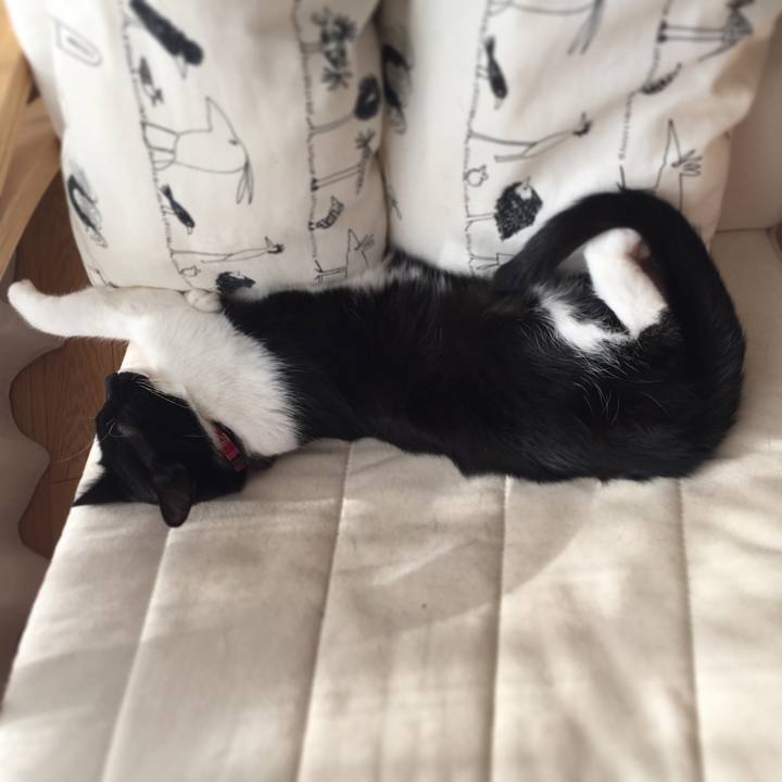 Af1dddbd 1922 49b5 be94 fc44692cad74