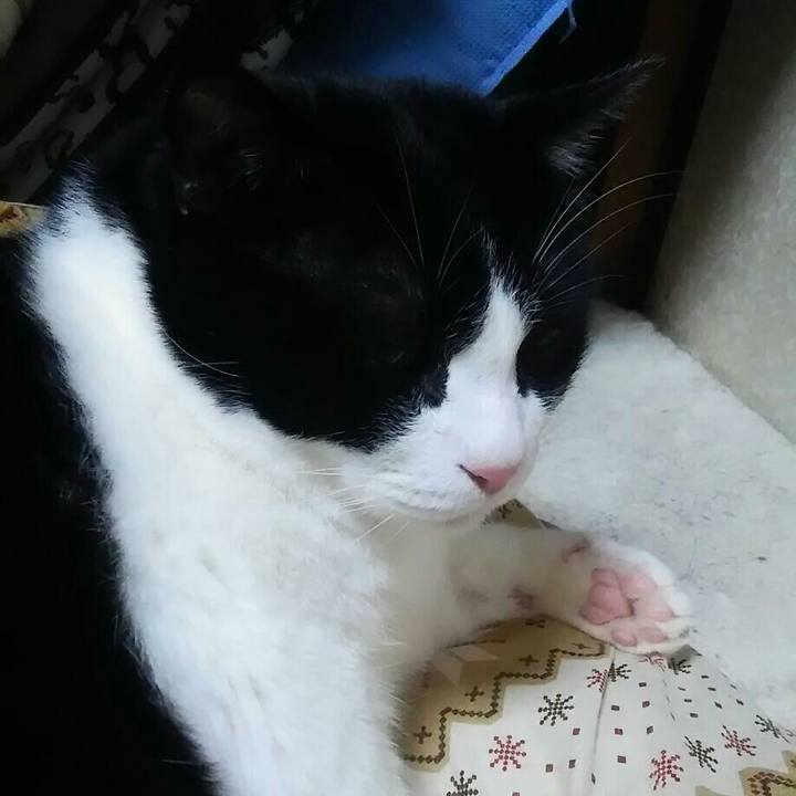 Af1df66c 5ce2 43d0 8ed7 2cc6731969ef