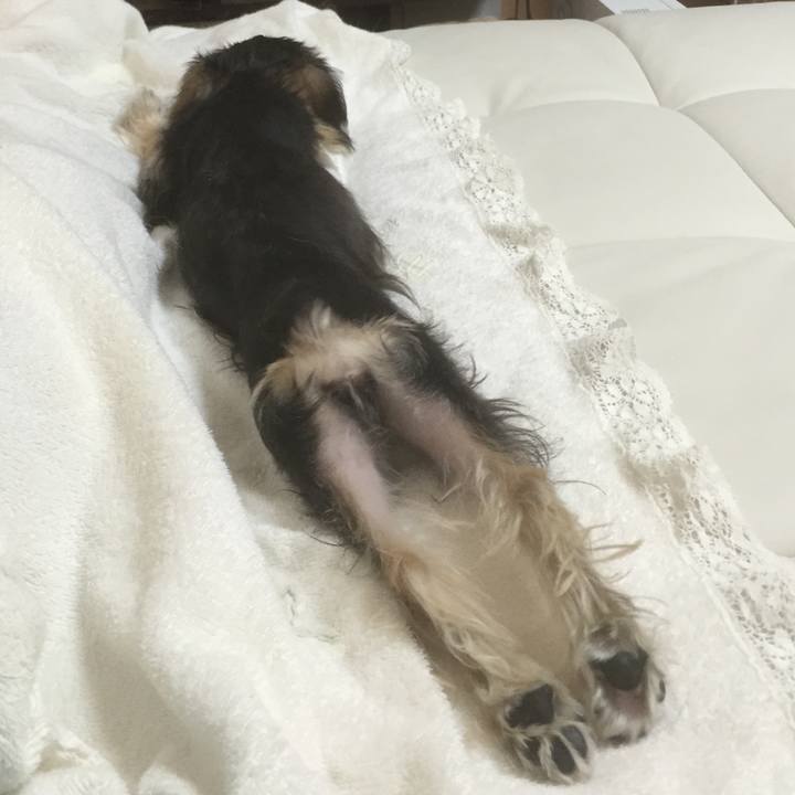 Af1e24d9 ec1f 447a a6bd 10e49ee74692