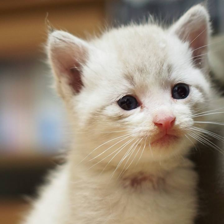 Af1e2a84 c6a4 45ef 8e59 6a4b8c624441