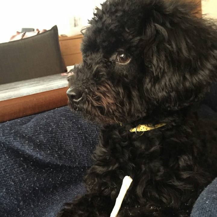 Af1e388b fd41 44a1 af1b c451d120638b