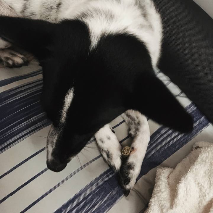 Af1e4cd2 1d15 4791 a62b 951ed56969f2