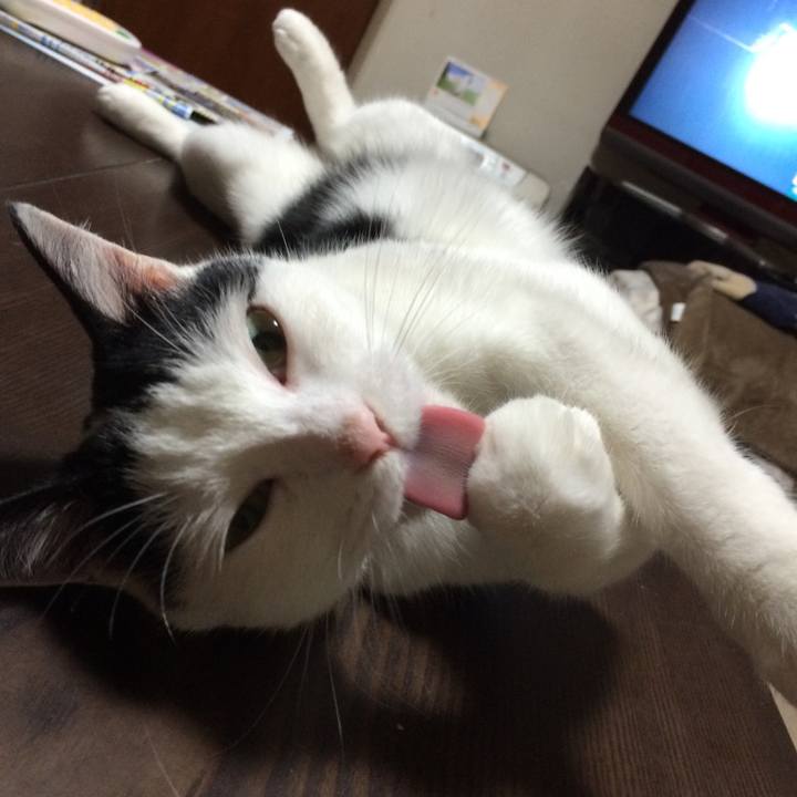 Af1e891c 487a 4e58 aabc f73d18db1a4e