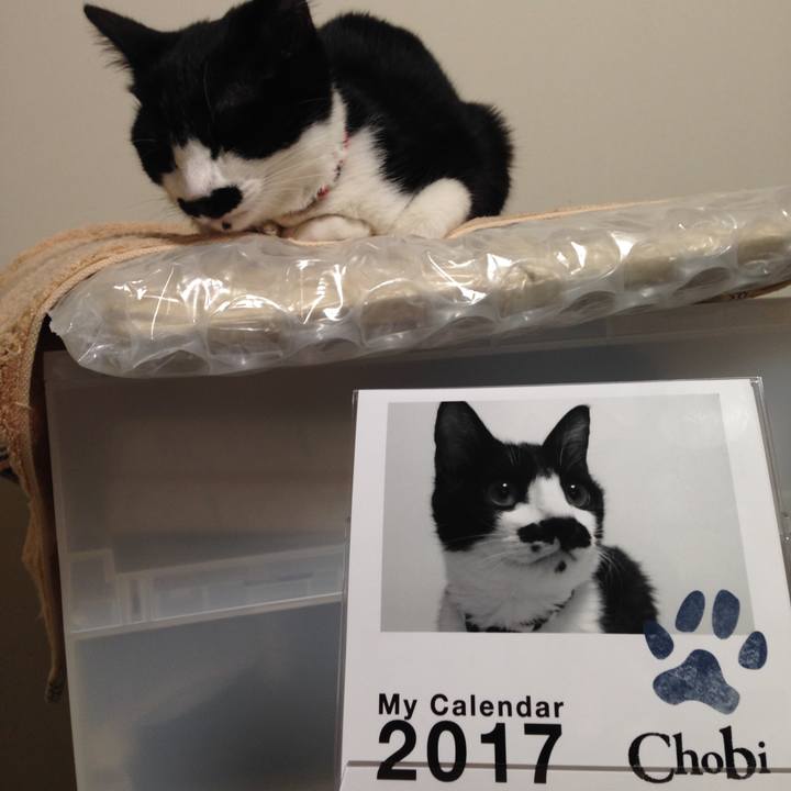 Af1e8dcd c776 4375 9ca5 f765c328dc5c