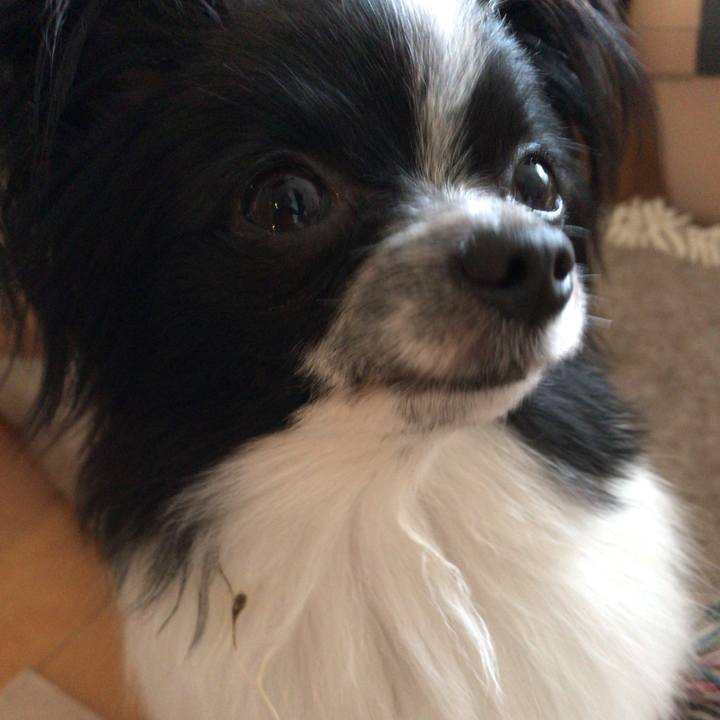 Af1ea241 b1b7 4e20 aa13 54170db12985