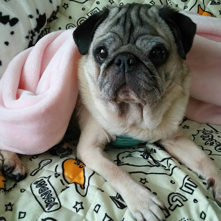 Af1fc545 b82f 414e bf67 9b89c570db79