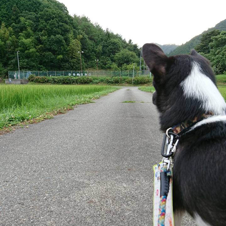 Af1fc56e e034 44bf 8bcc ce7ef4620a8a