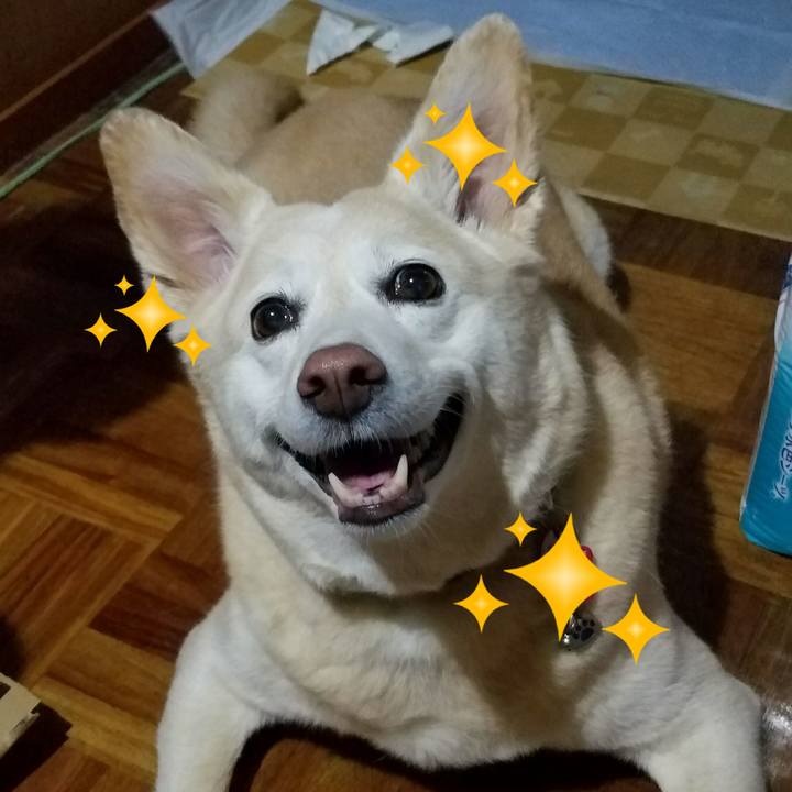 Af1fd6f5 2c30 4b05 9134 70c47cbe5f71