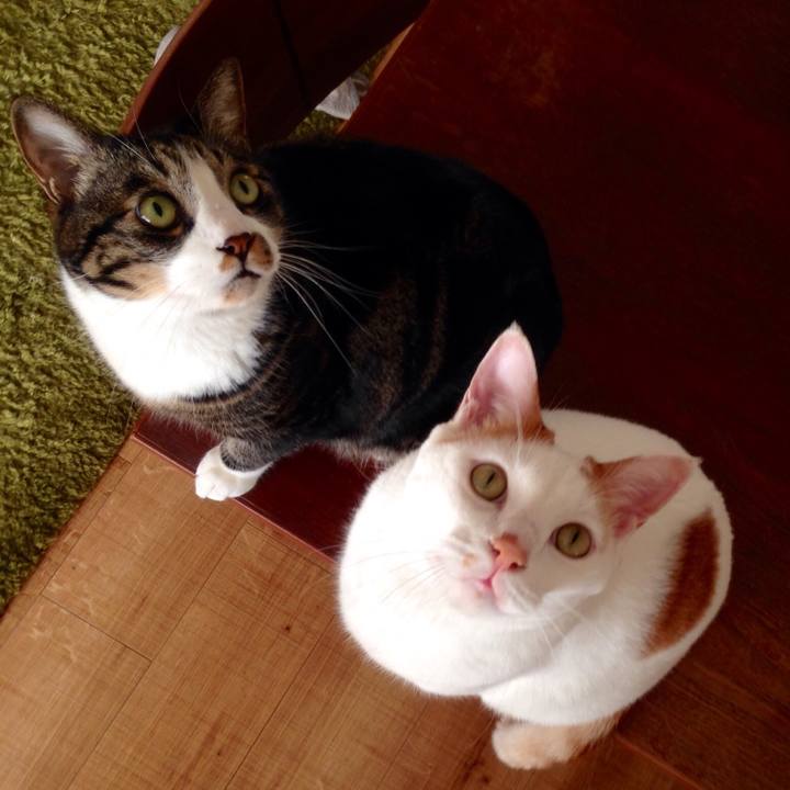 Af20236a e312 45a9 b19c 6dd95d0628d8