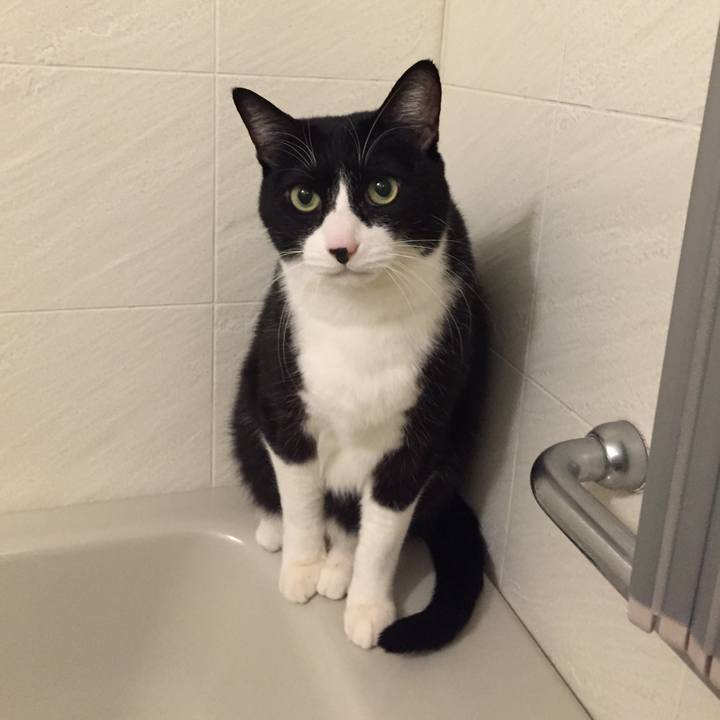 Af207ba9 79a3 4a11 b0e1 dbcd419f1f82